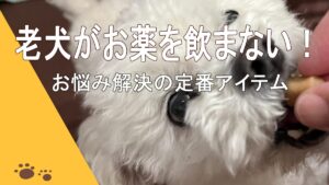お薬を飲ませるアイテム