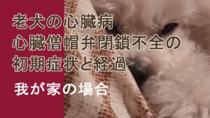 心臓僧帽弁閉鎖不全の初期症状と経過
