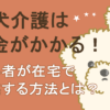 老犬介護はお金がかかる