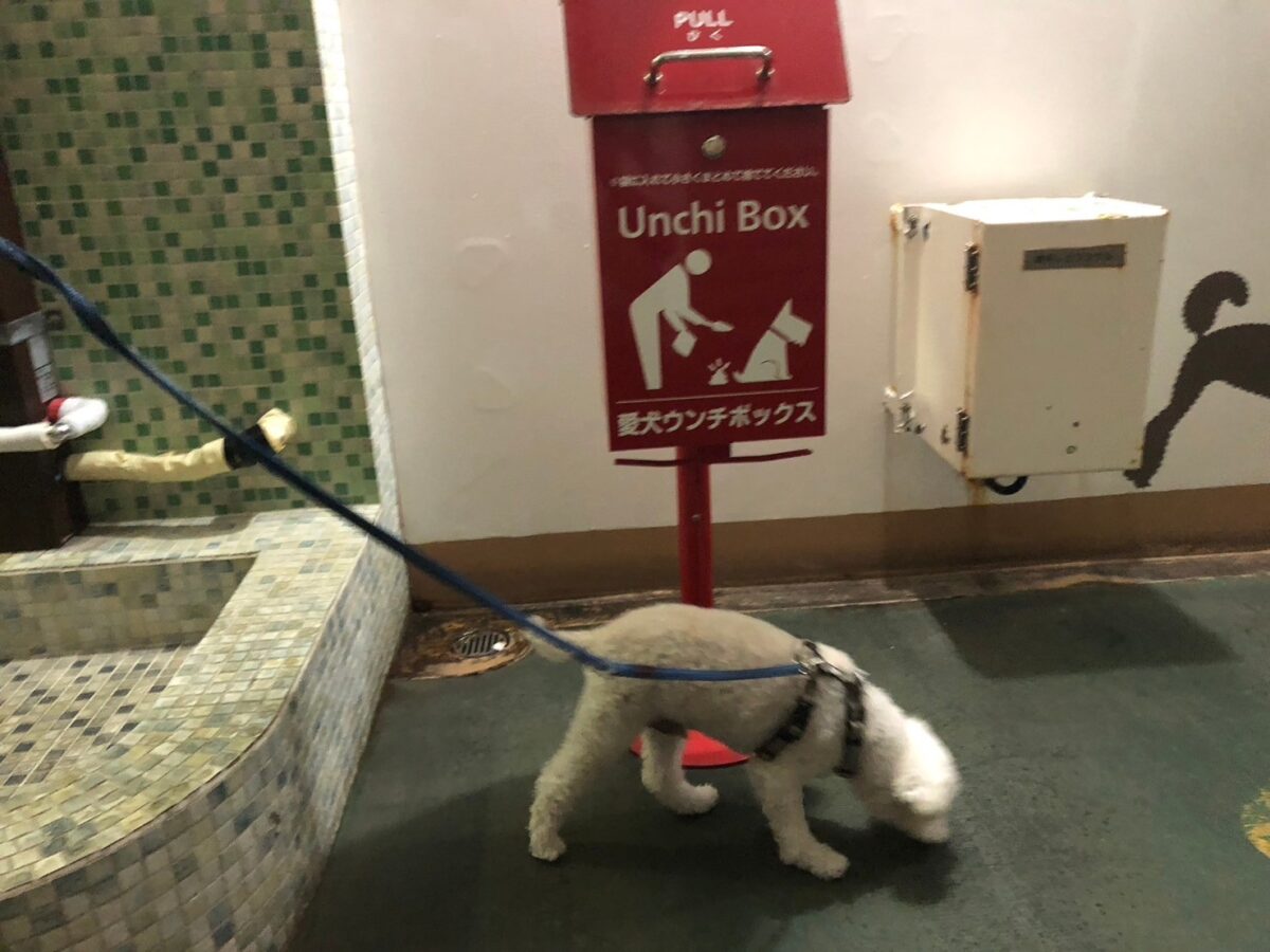 さんふらわあUNCHI BOX