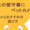 ペットカメラのアイキャッチ