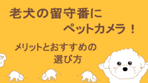 ペットカメラのアイキャッチ