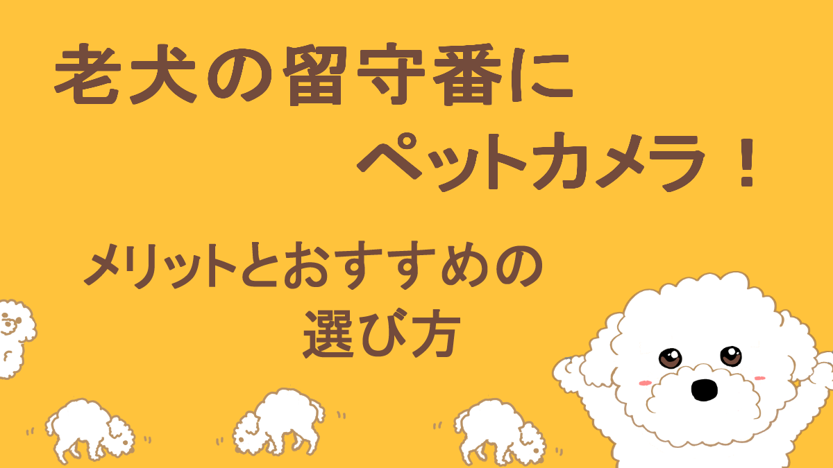 ペットカメラのアイキャッチ