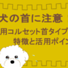 首コルセットのアイキャッチ
