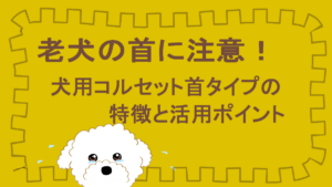 首コルセットのアイキャッチ