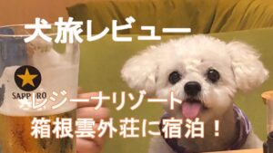レジーナリゾート箱根雲外荘