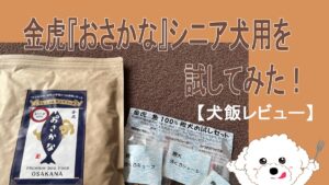 犬飯レビュー金虎