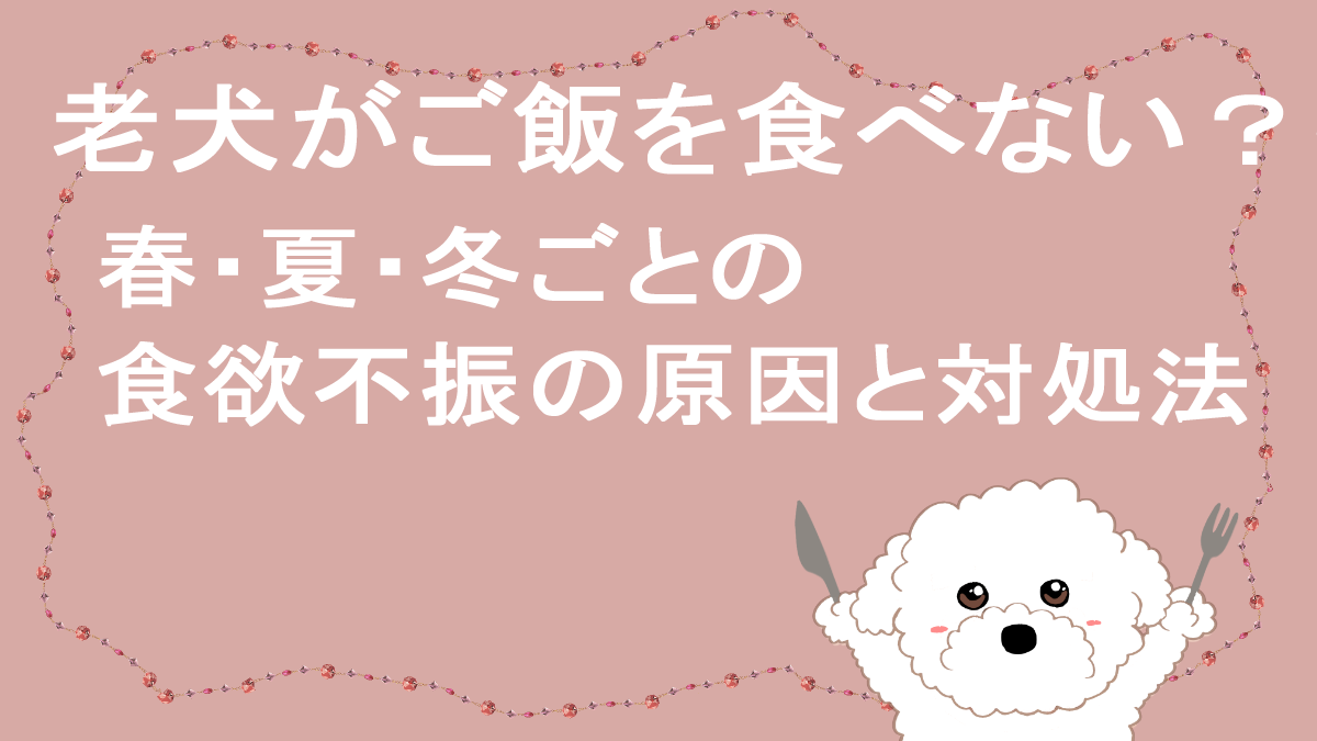 ごはんを食べない季節ごとの対処法