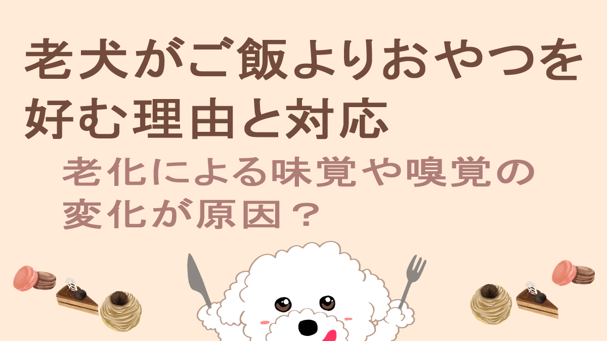 ご飯よりおやつ