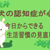 認知症のアイキャッチ