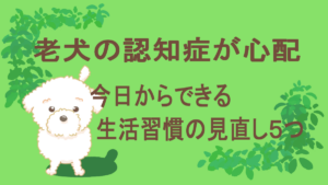 認知症のアイキャッチ
