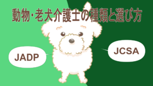 老犬介護士の選び方