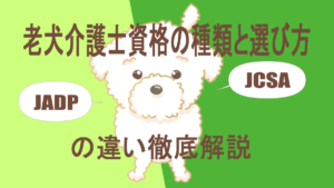 老犬介護士資格の種類と選び方