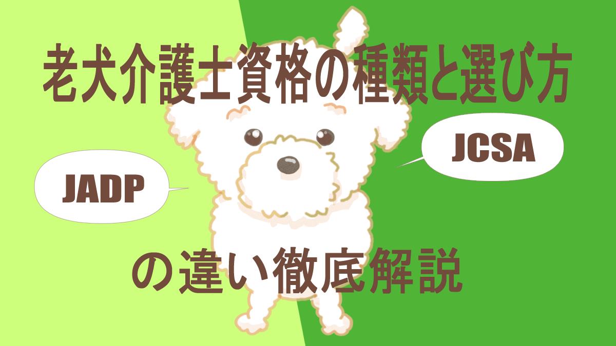 老犬介護士資格の種類と選び方
