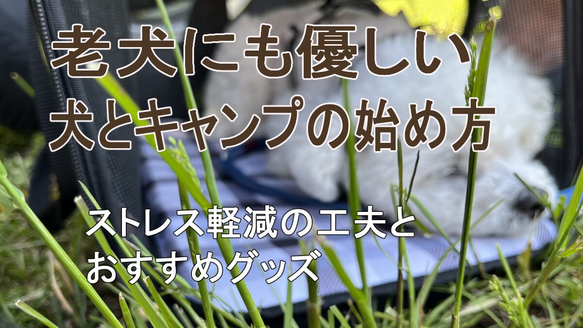 犬とキャンプの始め方