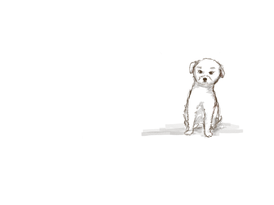 犬ラフ