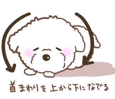 犬の首マッサージ