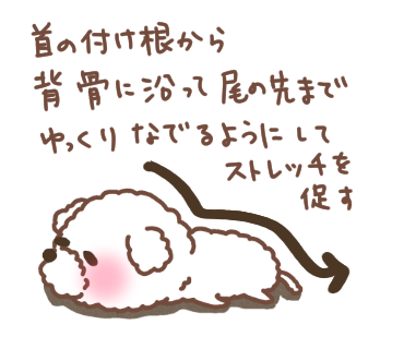 背骨のストレッチ