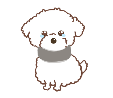 コルセットをした犬