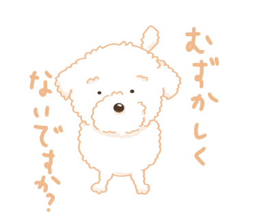 難しくて目が点になる犬