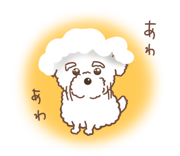 泡だらけの犬