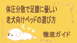 体圧分散ベッド選び方ガイド