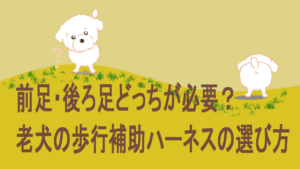 歩行補助ハーネスの選び方