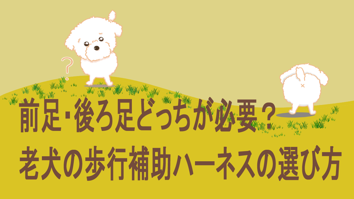 歩行補助ハーネスの選び方