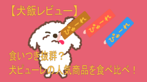 犬ピューレの人気商品を食べ比べ