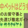 旅行中ペットはどうする？アイキャッチ