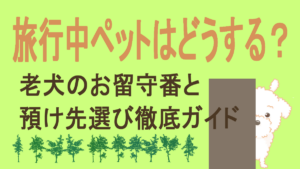 旅行中ペットはどうする？アイキャッチ