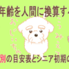 犬の年齢換算表の記事：おじいちゃんわんこと枯れ葉