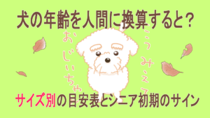 犬の年齢換算表の記事：おじいちゃんわんこと枯れ葉