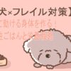 ごはんの前で元気のない犬