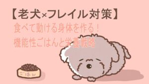ごはんの前で元気のない犬