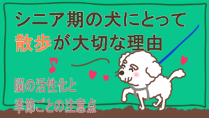 散歩を楽しむ老犬