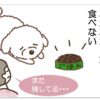 ４コマーおまつり１