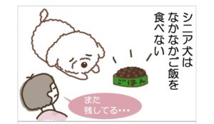 ４コマーおまつり１