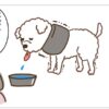 ４コマ―親心１