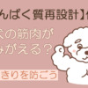 犬のたんぱく質再設計