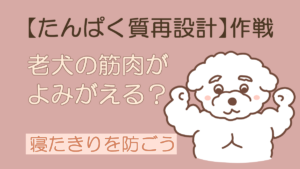 犬のたんぱく質再設計