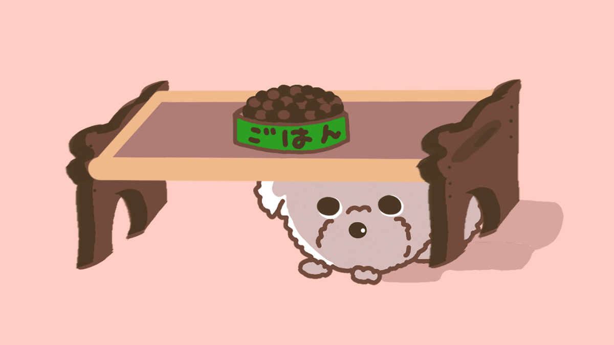 ごはん