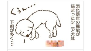 ４コマーおまつり２