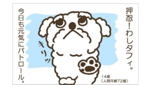 4コマパトロールアイキャッチ