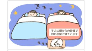 4コマとある夜中ーアイキャッチ
