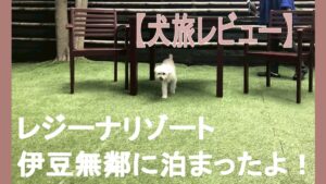 アイキャッチ伊豆無鄰