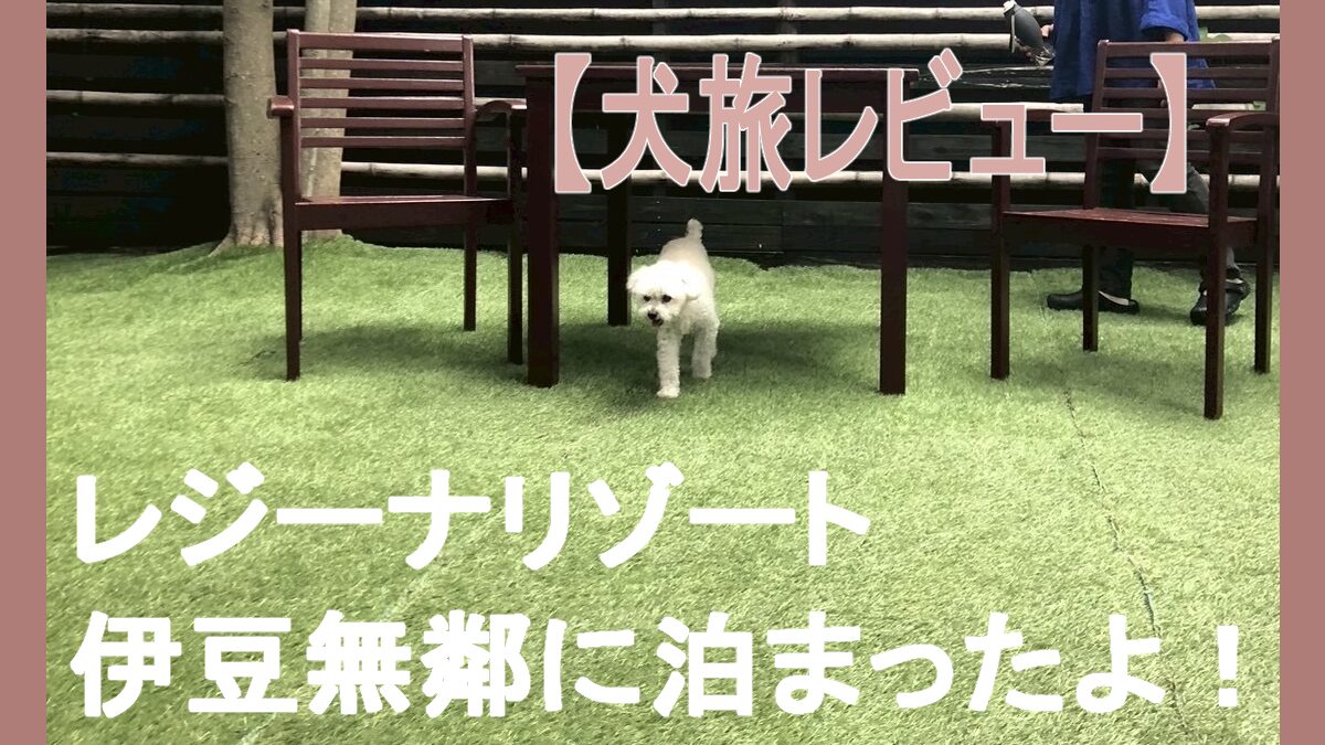 アイキャッチ伊豆無鄰