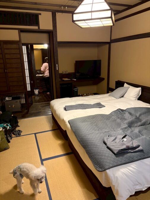 懐のお部屋